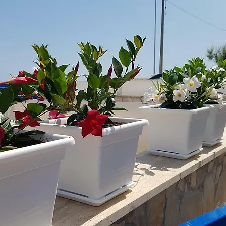 דירה Pietra Di Luna A...mare *